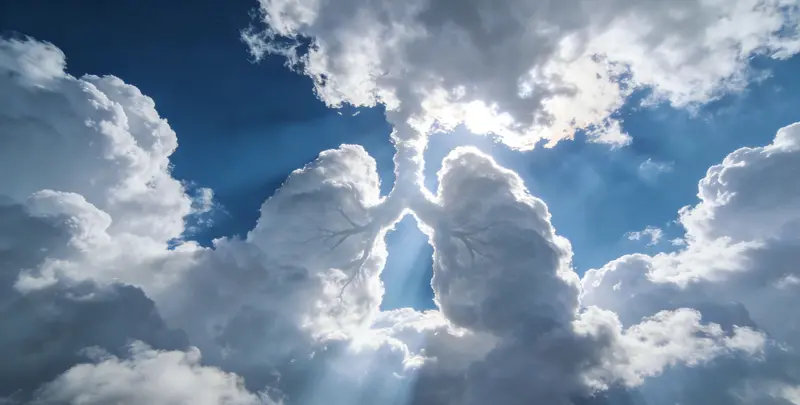 德州肺癌13基因突变检测（组织）图片1