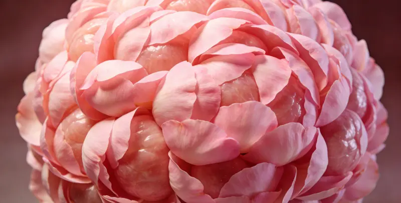 德州BRCA1/2乳腺癌卵巢癌基因检测图片1